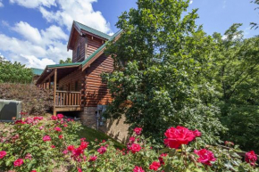 ERN832 - Lakeside Hideaway - Great Location! Close To All The Action! cabin